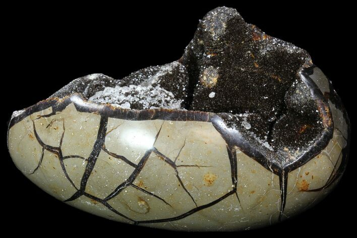 Septarian Dragon Egg Geode - Black Crystals #89569